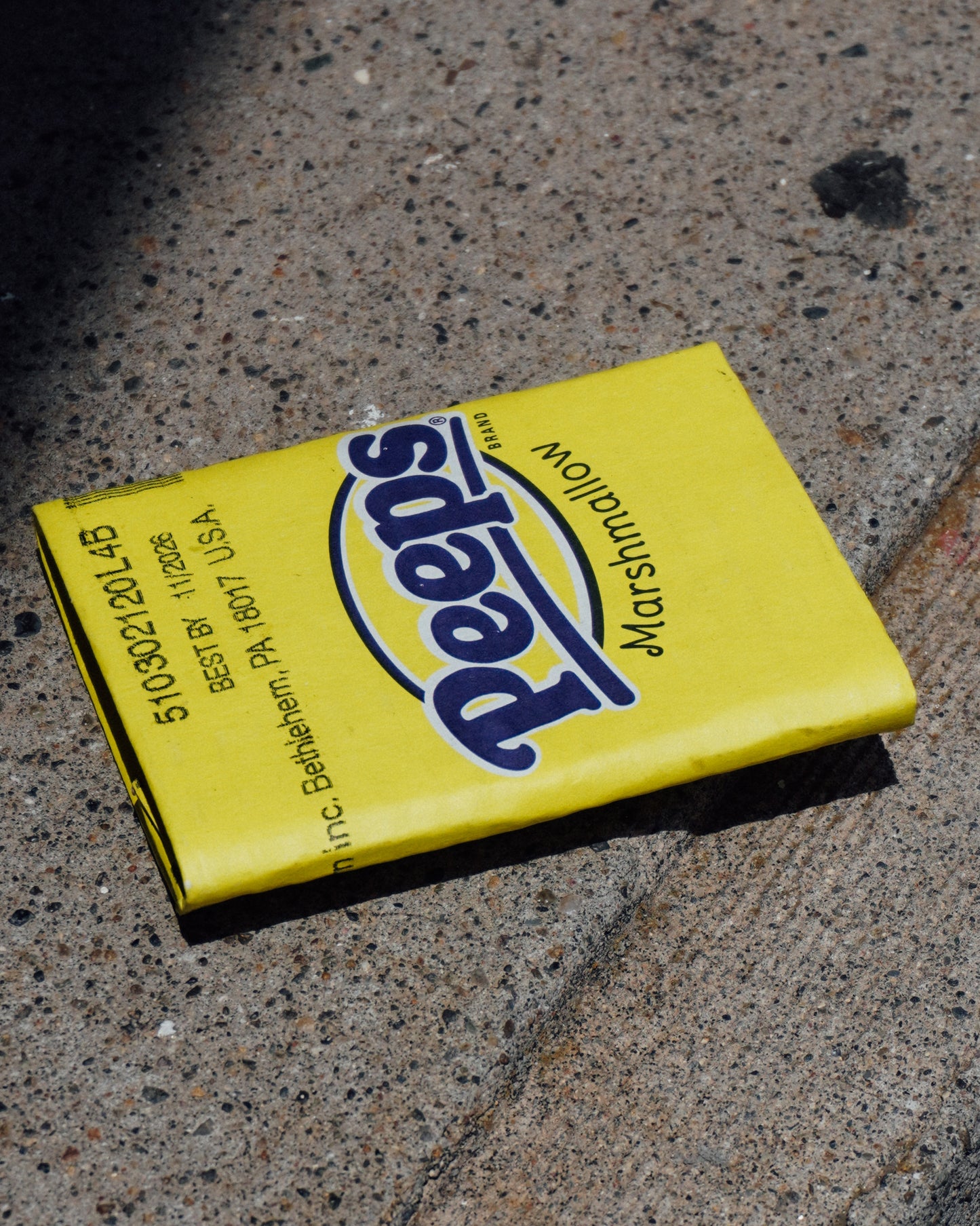 Carton Wallet
