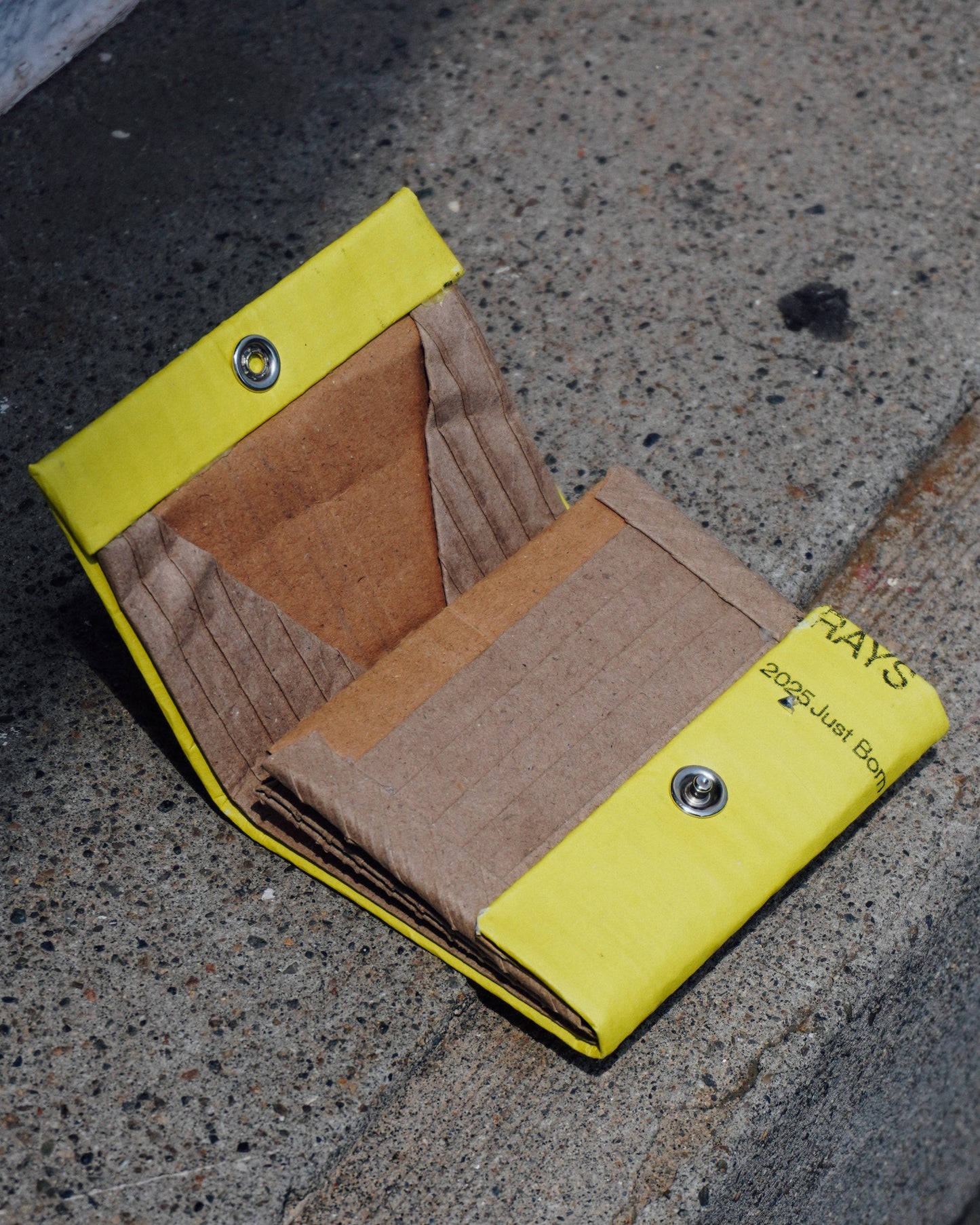 Carton Wallet