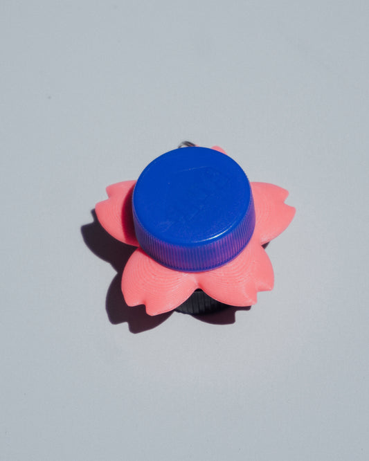 (2026)ⓒⓐⓟⓟⓨ🌸