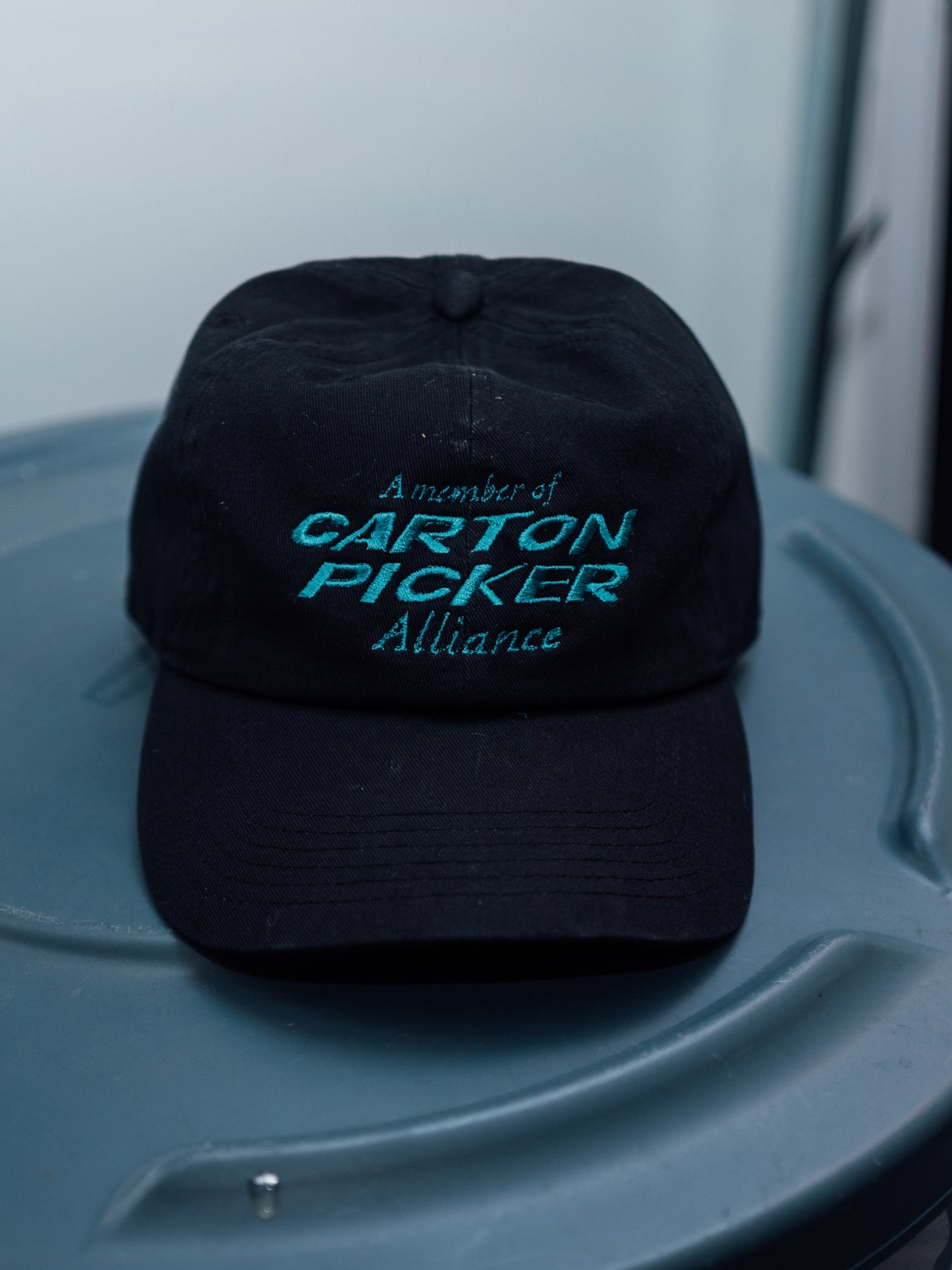 (2024) Carton Picker Cap