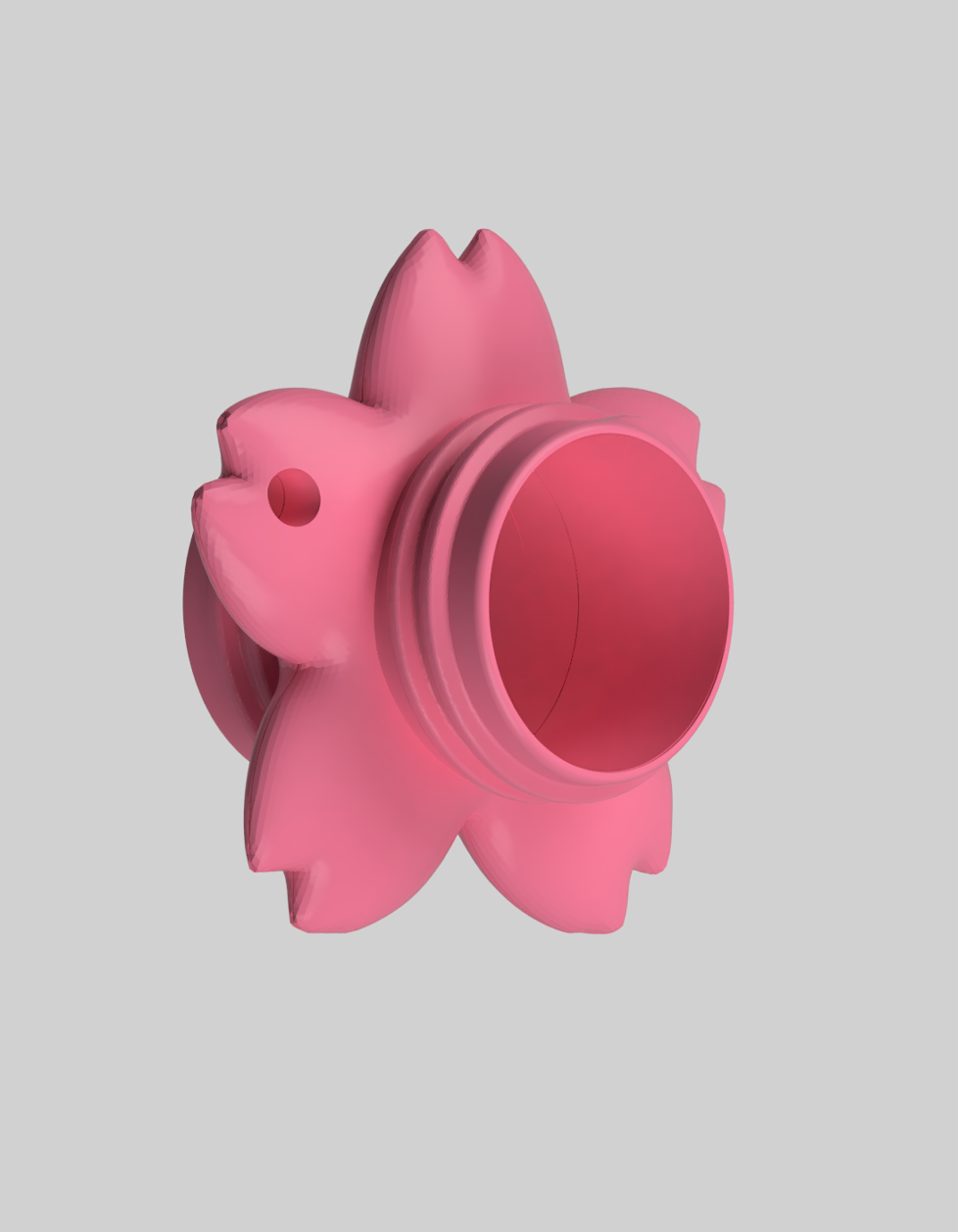 (2026)ⓒⓐⓟⓟⓨ🌸