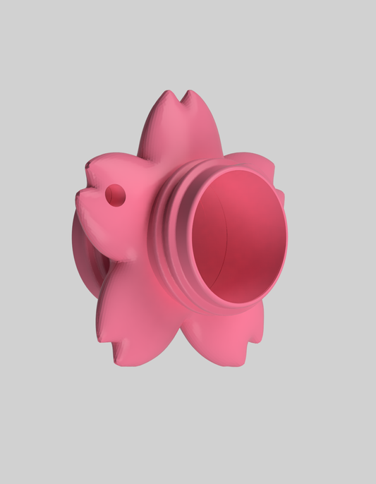 (2026)ⓒⓐⓟⓟⓨ🌸